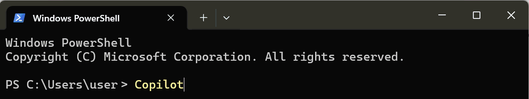 Skærmbillede af en Windows PowerShell-terminal.