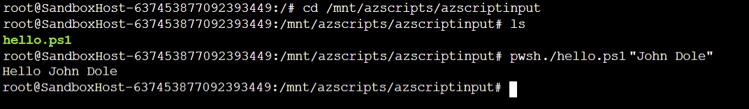 Screenshot der in der Konsole angezeigten Testausgabe des Bereitstellungsskripts „connect container instance“.