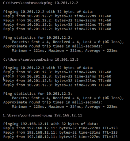 Screenshot des Pingbefehls und der Ergebnisse des Pings.