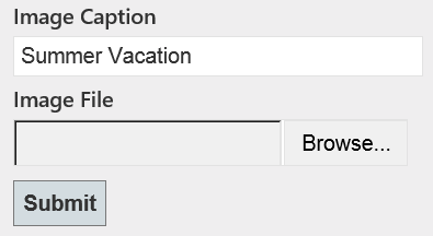 Screenshot eines HTML-Formulars mit einem Bildbeschriftungsfeld mit dem Text 