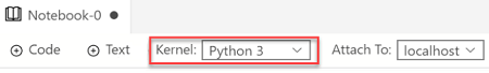 Screenshot, der den Kernel-Wert zu Python 3 zeigt.