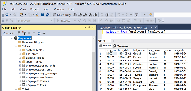 Screenshot der Überprüfung in SQL Server Management Studio