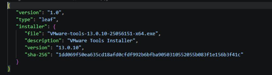 Screenshot of the version-specific metadata.json file inside the vmtools version folder.