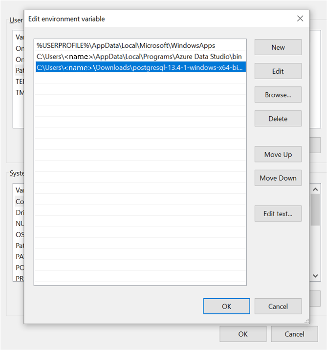 Screenshot that shows the environment variables that you need to set.