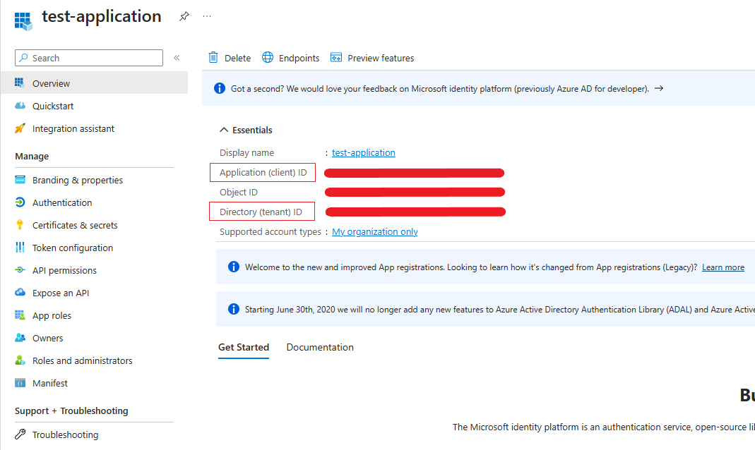 Screenshot of the App Registration overview window.