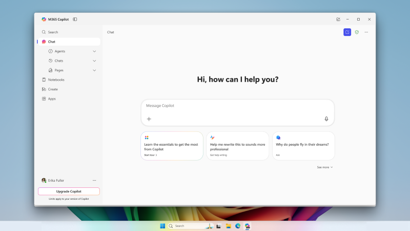 Screenshot that shows Microsoft Copilot Chat.