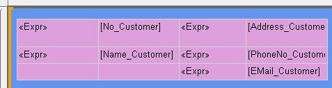The layout containing the customer data.