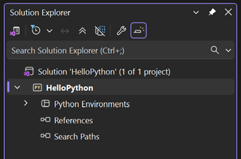 Screenshot showing the newly created empty Python Web Project in the Solution Explorer.
