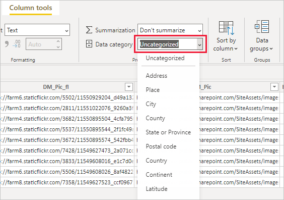 Captura de pantalla de Power&nbsp;BI Desktop en la que se muestra el filtro Categoría de datos.
