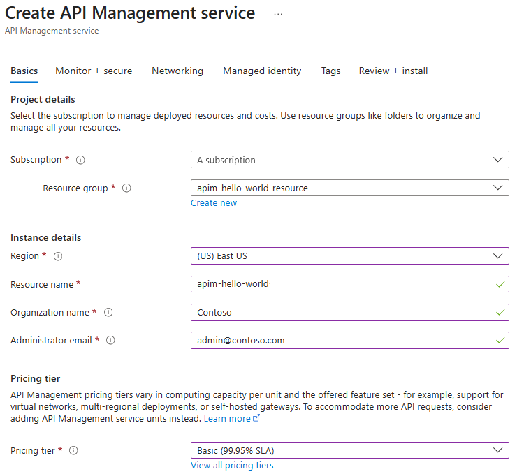 Capture d’écran montrant les paramètres de base pour créer une instance Gestion des API.