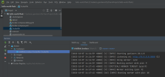 Capture d’écran montrant un exemple d’exécution d’un conteneur dans PyCharm.