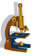 Exemple d’image incorporée 3