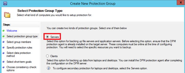 Lo screenshot mostra come selezionare il tipo di gruppo di protezione Server.