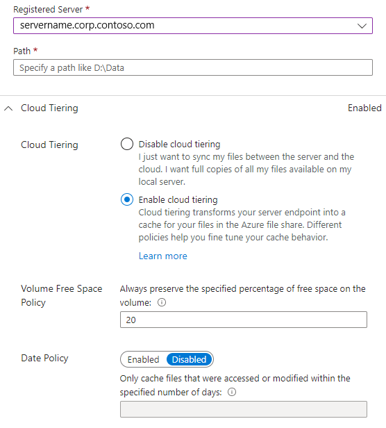 Screenshot che mostra le opzioni per la suddivisione in livelli nel cloud nel riquadro per l'aggiunta di un endpoint server.