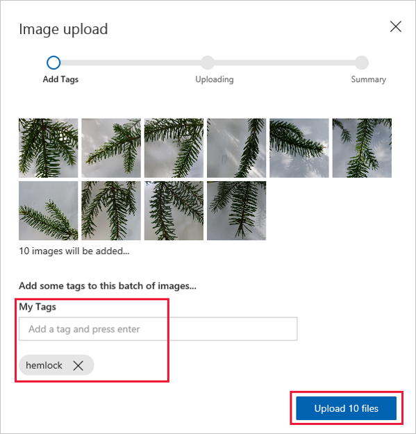 Caricare file contrassegnati con tag hemlock in Custom Vision