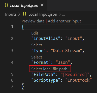 Screenshot del file LocalInput_Input.json in Visual Studio Code con il percorso locale del file dati inserito.