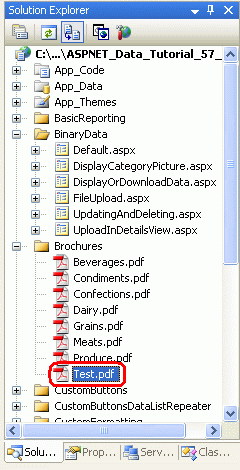 Il file Test.pdf non è stato eliminato dal file system del server Web