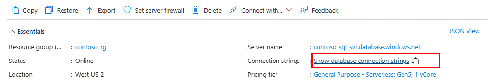 Screenshot del portale di Azure della pagina Panoramica di un database SQL. Il collegamento Mostra stringhe di connessione del database è evidenziato.