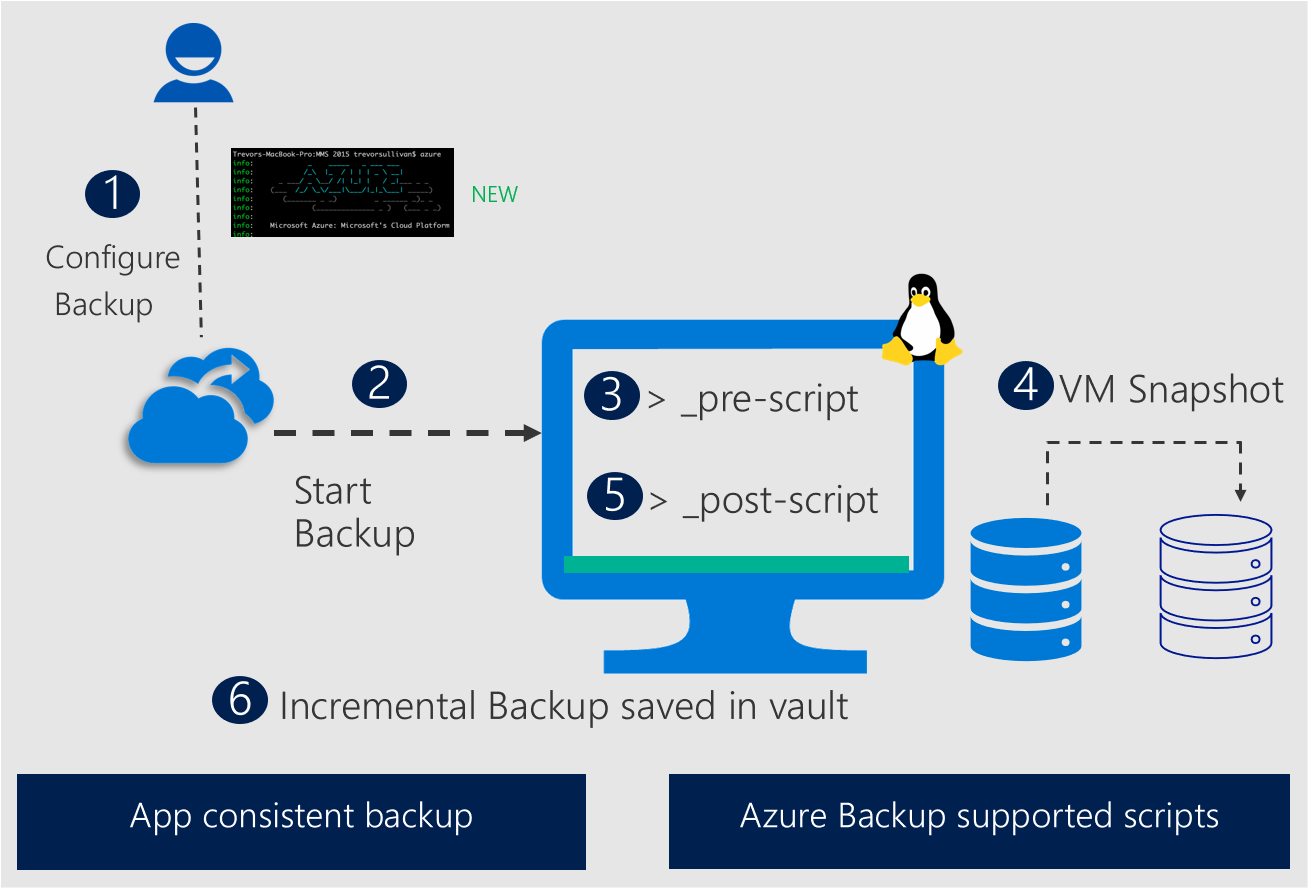 Diagramma che mostra uno snapshot coerente con l'applicazione Linux di Backup di Azure.