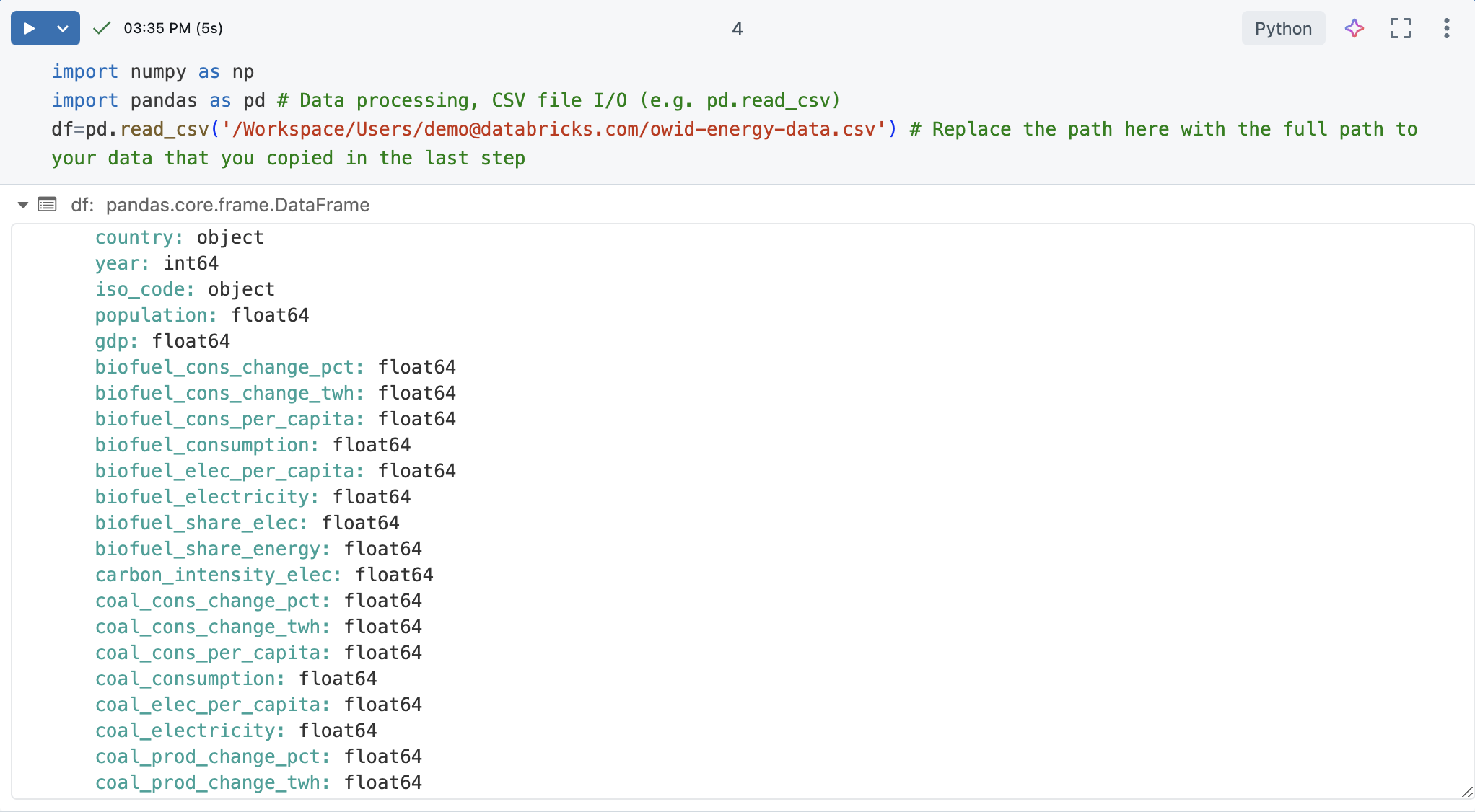 Output della cella del dataframe importato.