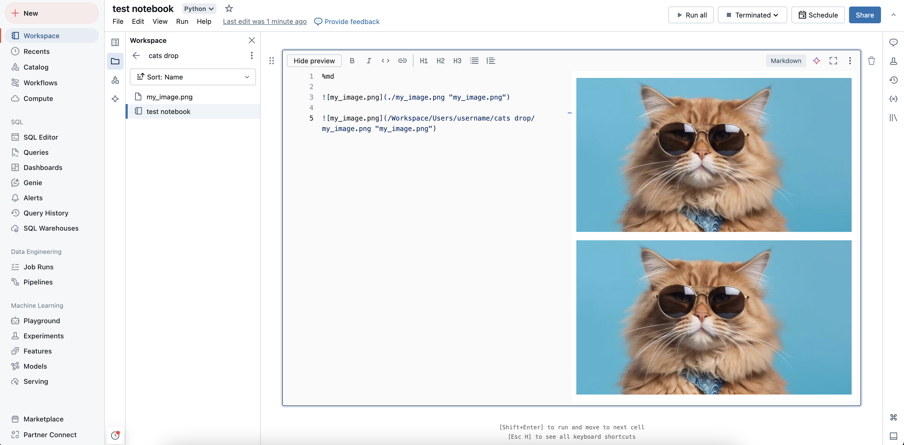Incorporare l'immagine nella cella Markdown