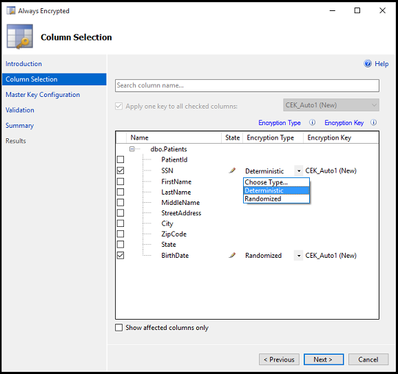 Figura 9-6 Selezione di colonne in una tabella da crittografare con Always Encrypted
