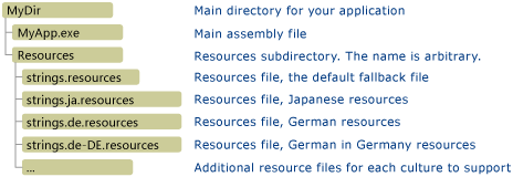 Illustrazione che mostra la directory principale della tua applicazione.