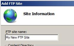 Screenshot della pagina Informazioni sito nella procedura guidata Aggiungi sito F T P che visualizza un nome di sito digitato nella casella per il nome del sito F T P.