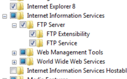 Screenshot che mostra l'opzione F T P Extensibility selezionata per Windows 7.
