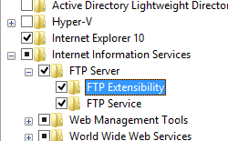 Screenshot che mostra l'opzione F T P Extensibility e F T P Service selezionata per Windows 8.