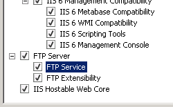 Screenshot che mostra l'opzione F T P Service e F T P Extensibility selezionata per Windows Server 2008.