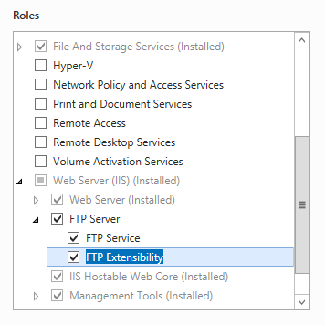Immagine del riquadro Server Web I e F T P Server espanso con F T Service e F T P Extensibility selezionato.