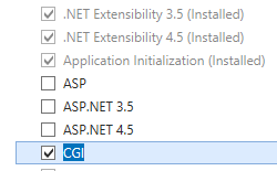Screenshot che mostra la pagina Ruoli server che evidenzia la casella di controllo C G I.