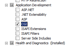 Screenshot che mostra la pagina Select Role Services evidenziando la casella di controllo C G I.