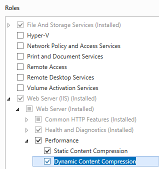 Screenshot dell'opzione Dynamic Content Compression selezionata ed evidenziata.