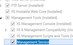 Screenshot nella pagina Ruoli server con l'opzione Servizio di gestione evidenziata.
