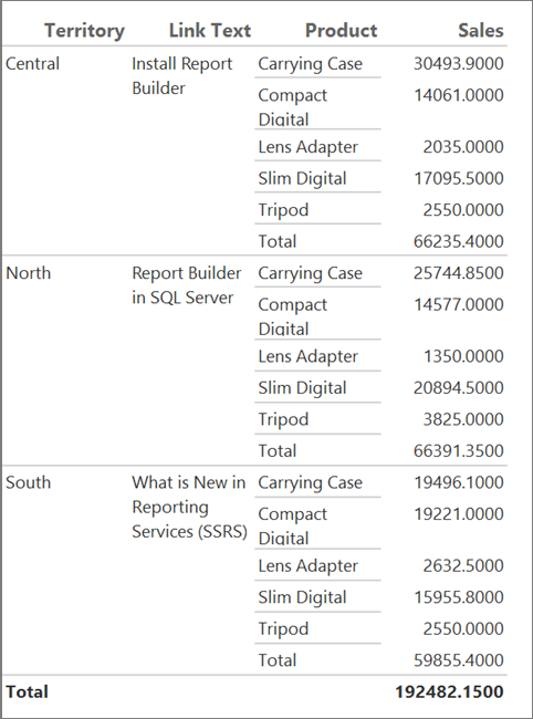 Screenshot che mostra un totale nel report di Report Builder.