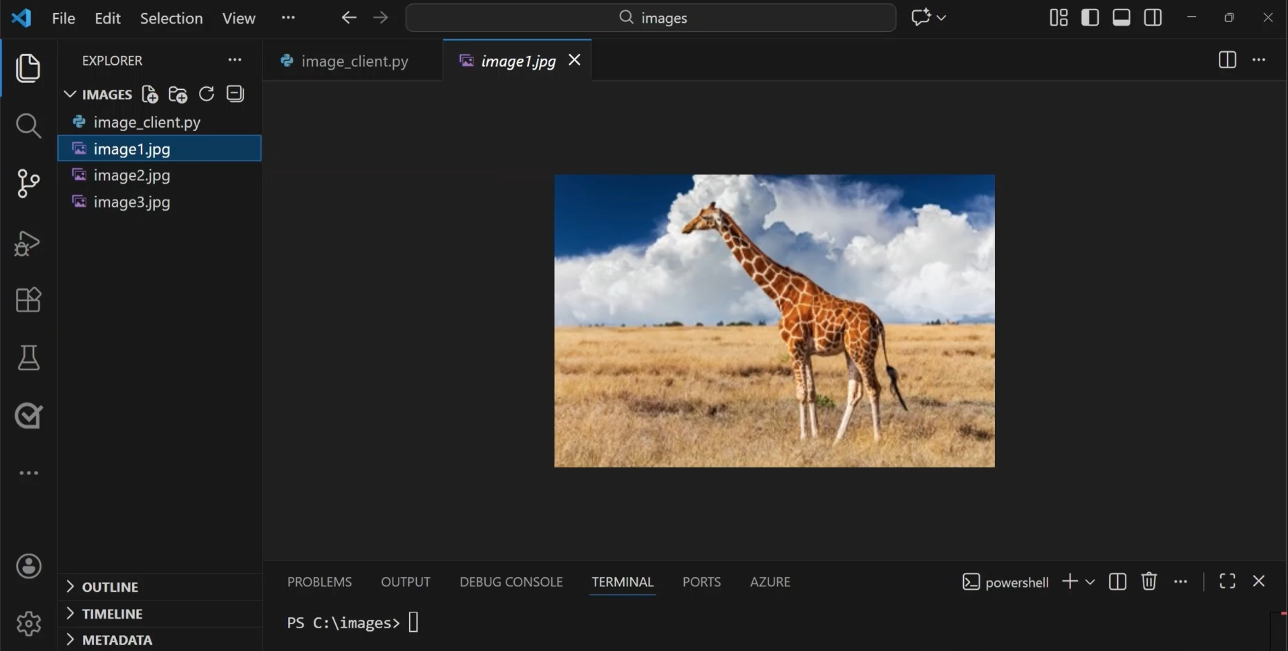Screenshot dell'immagine usata per l'analisi delle immagini.