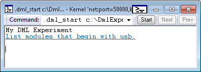 Screenshot dell'output del file DML nella finestra del browser dei comandi.