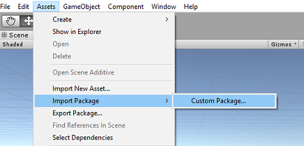 Screenshot del menu asset. Il menu importa pacchetto è aperto. È selezionata l'opzione Pacchetto personalizzato.