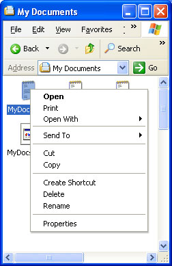 schermata del menu di scelta rapida personalizzato per gli oggetti del file system
