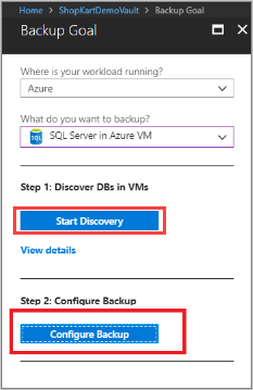 Back-updoelstelling - SQL Server op een Azure VM