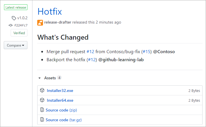 Schermopname van het weergeven van een GitHub-release.