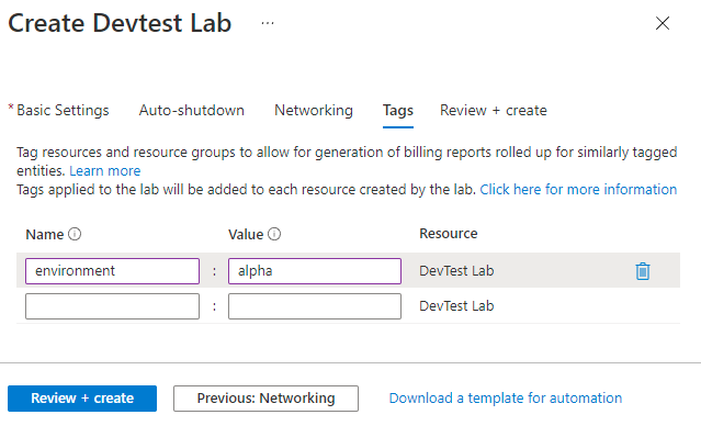 Captura de tela da guia Etiquetas no formulário para criação do DevTest Labs.