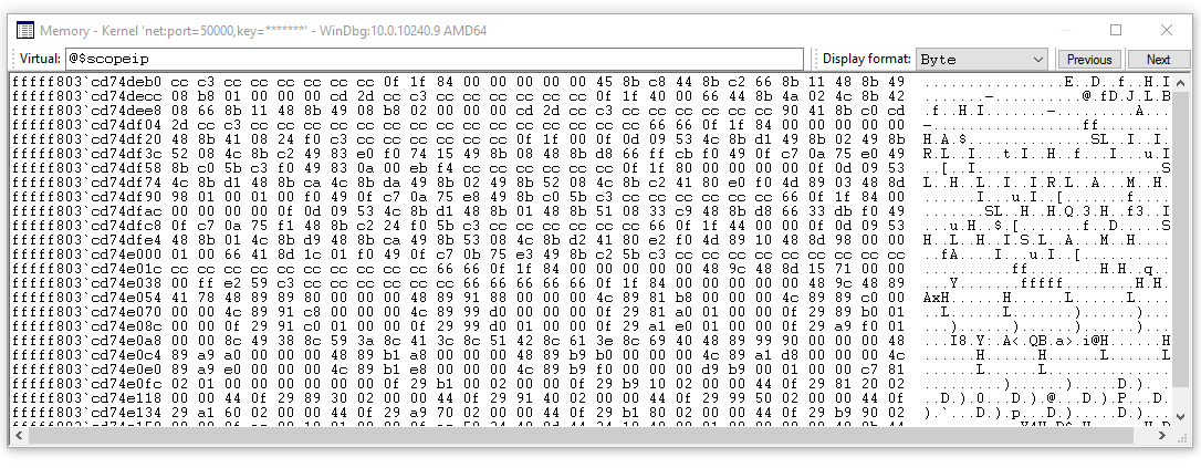 Captura de tela da janela de memória de exibição do WinDbg com várias opções de formato de exibição.