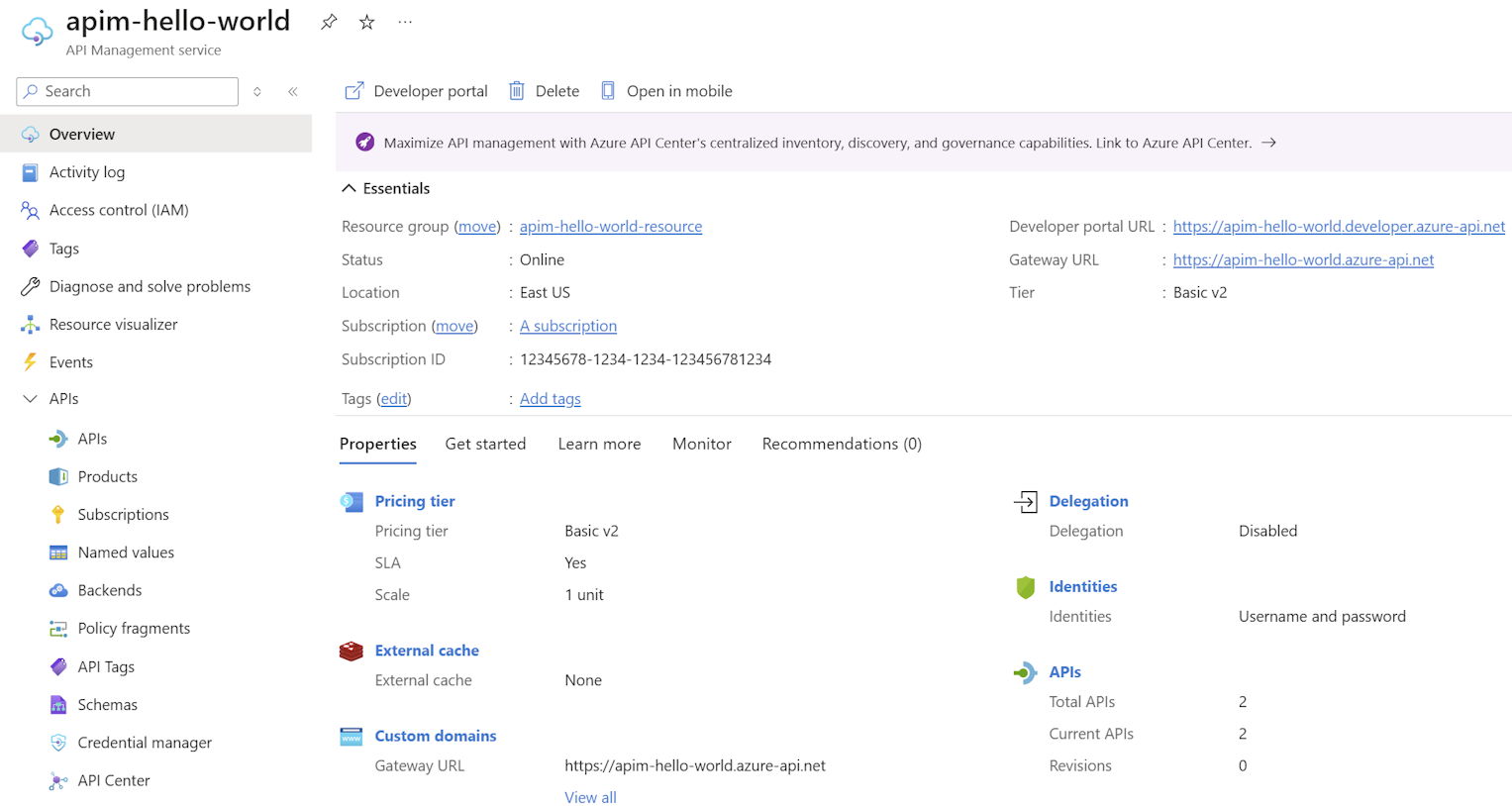 Captura de ecrã que mostra a secção de visão geral da sua instância de Gestão de APIs.