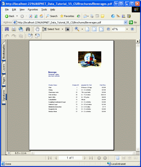 O PDF da brochura da categoria é apresentado