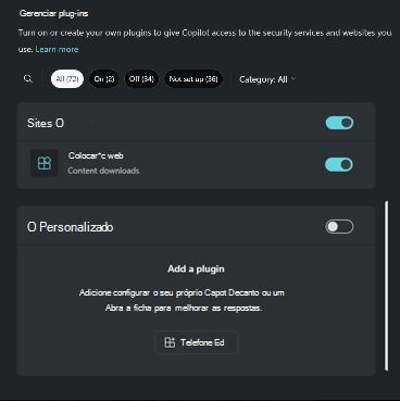 Captura de tela da seção personalizada do plug-in.