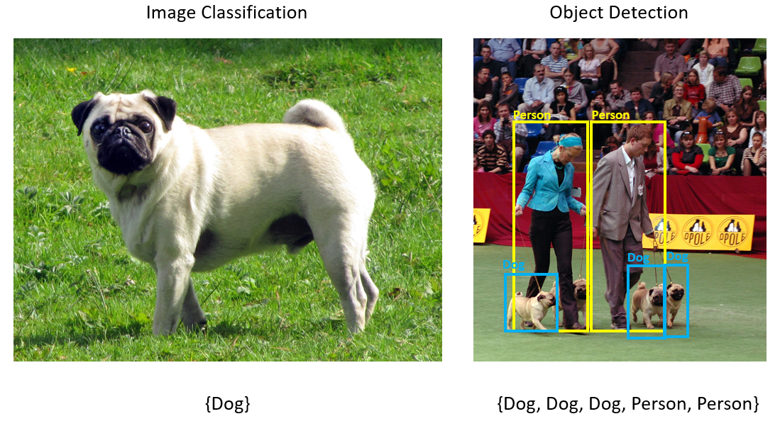 Capturas de tela mostrando Classificação de Imagem versus Classificação de Objeto.