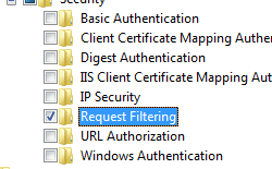 Screenshot that shows the Request Filtering is selected.